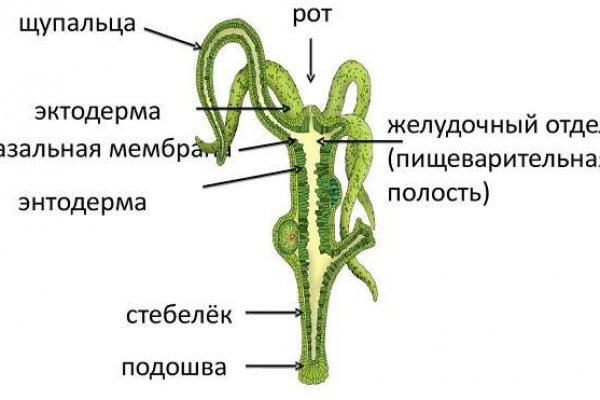 Блэкспрут даркнет