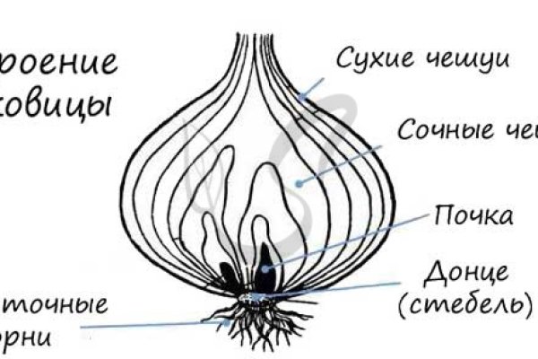 Блэк спрут зеркало рабочее на сегодня